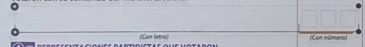 crop of Voters on the list