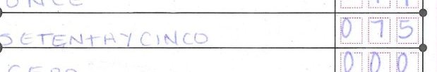 Masked crop of Option 07 on form 202005C0200
