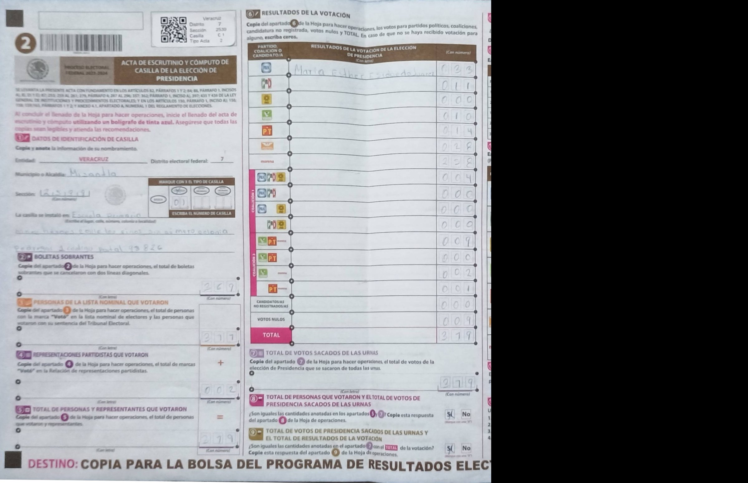 Privacy-masked page of form 302539C0100