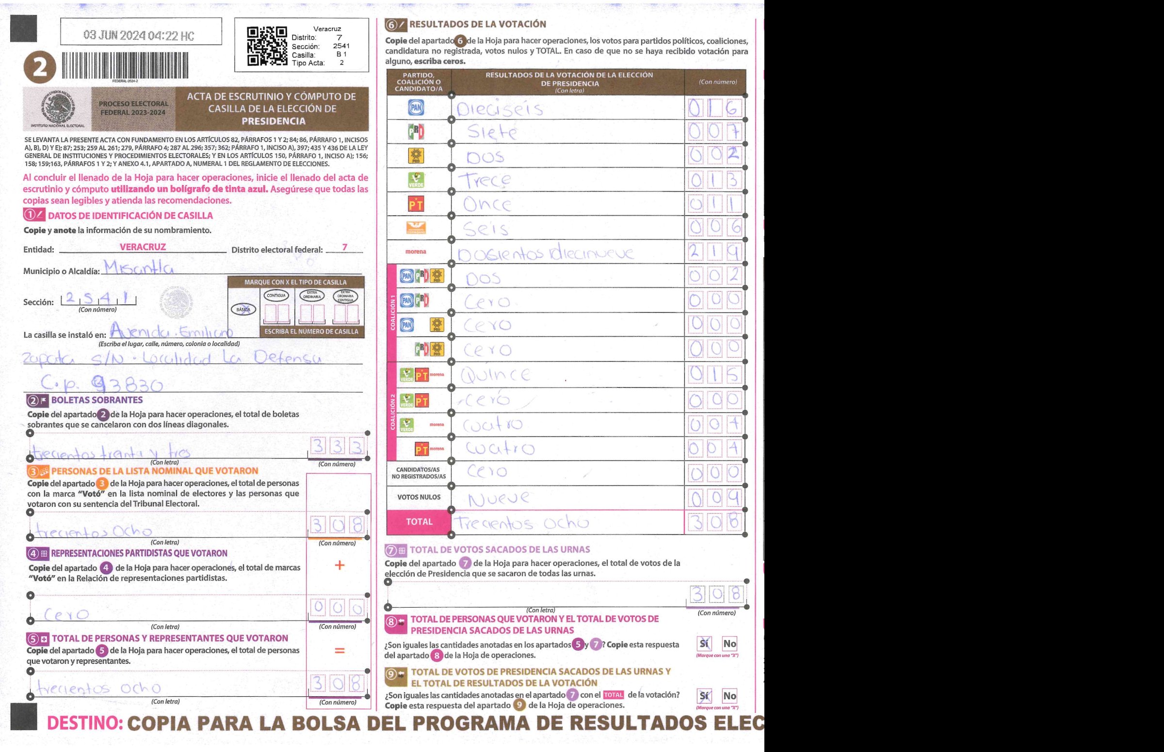 Privacy-masked page of form 302541B0100